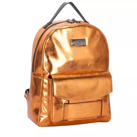 Metallic Zip Fastening Pocketed Bckpk Model